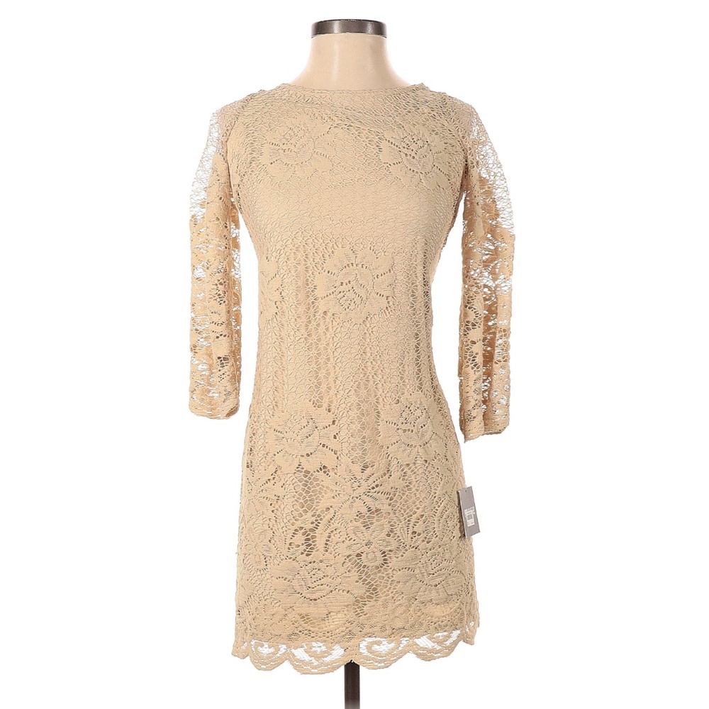 Lace Muse Dress